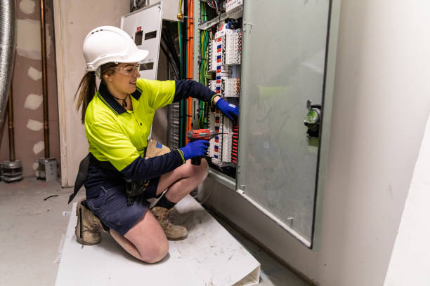 Best Electric Panel Repair  in Apple Valley, MN