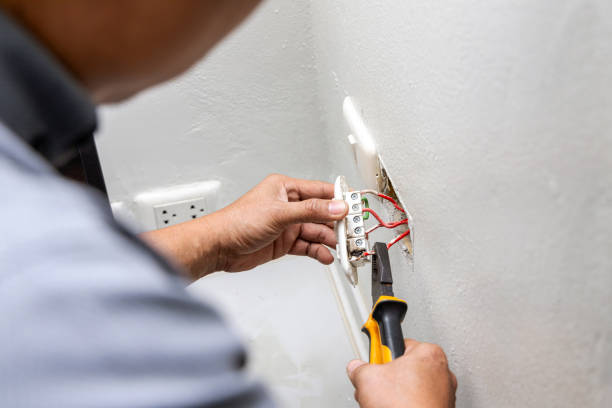 Best Electric Panel Repair  in Apple Valley, MN